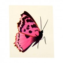 Временная татуировка на тело №5 "Розовая бабочка"