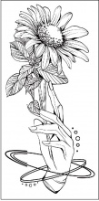 Временная татуировка на тело №148 "Рука держит цветок"