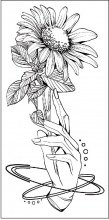 Временная татуировка на тело №148 "Рука держит цветок"