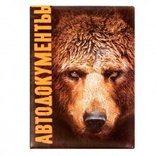 Обложка для автодокументов "Медведь"