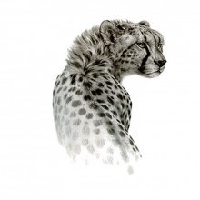 Временная татуировка на тело №60 "Леопард"