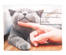 Обложка на студенческий "Серый кот"