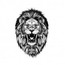 Временная татуировка №227 "Рычащий лев"
