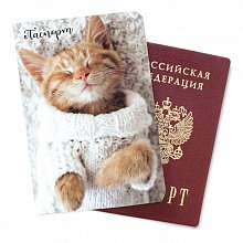 Обложка для паспорта "Котёнок"