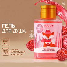 Гель для душа НГ "Зимняя лисичка" малиновый коктейль