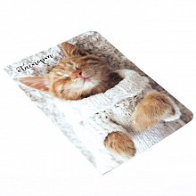 Обложка для паспорта "Котёнок"