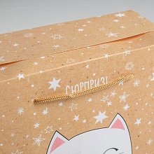Пакет-коробка "Сюрприз!" котёнок