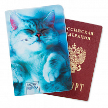 Обложка для паспорта "Паспорт котика"