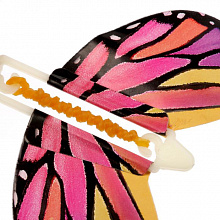 Летающая бабочка в открытке "С днём рождения"