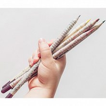 Растущие карандаши "Салатный микс" 6 шт (цветные)