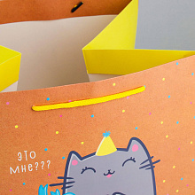 Пакет квадратный "Котик и тортик" XL