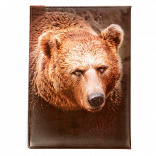 Обложка для автодокументов "Медведь"