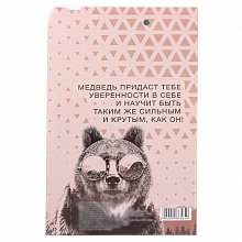 Подарочный набор "Для сильного духом" (обложка для паспорта и ручка)