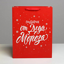 Пакет ламинированный вертикальный "Подарок от Деда Мороза" L